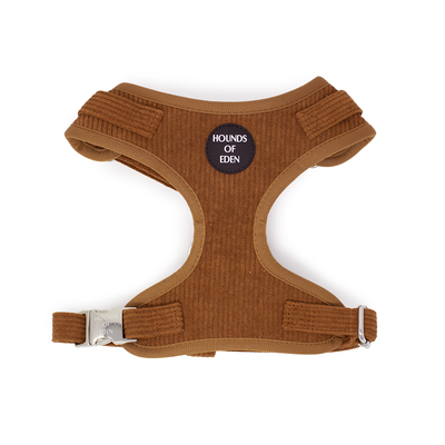 Choca Mocha - Brown Corduroy Collar