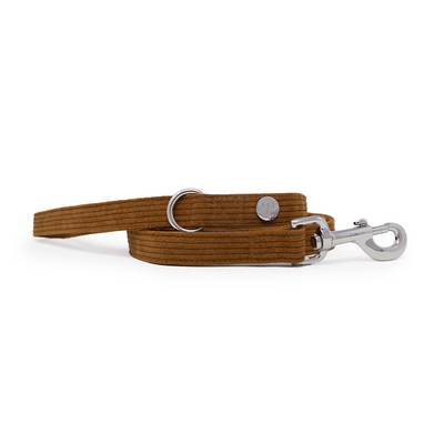 Choca Mocha - Brown Corduroy Collar