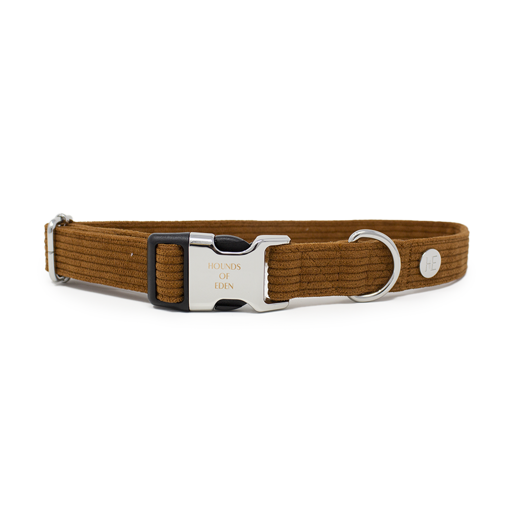 Choca Mocha - Brown Corduroy Collar