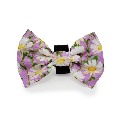 Daisy Dreams Design Dog Harness