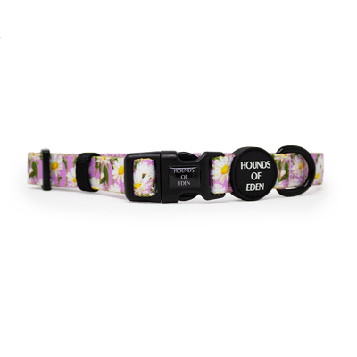 Daisy Dreams Design Dog Collar