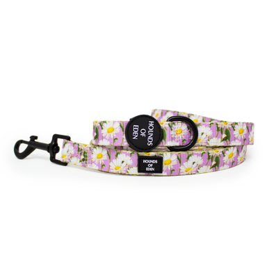 Daisy Dreams Design Dog Harness