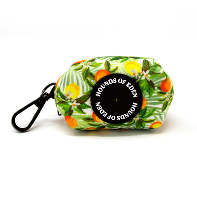 'Squeeze Me' - Citrus Dog Collar