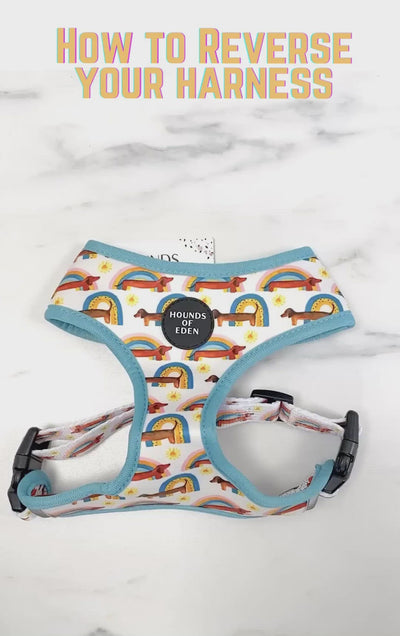 'Whale of a Time' - Sea Themed Reversible Dog Harness