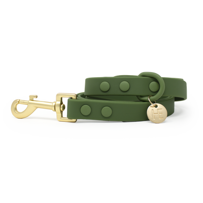 Forest Green 'All Weather' Dog Collar