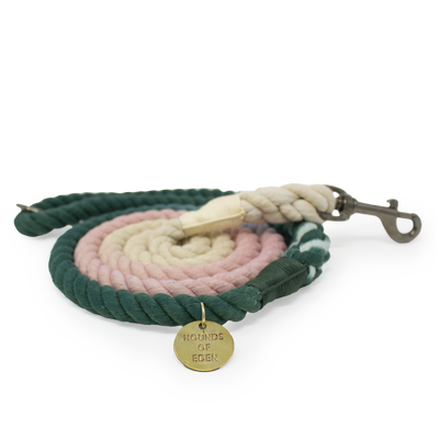Green & Pink Ombre Rope Lead
