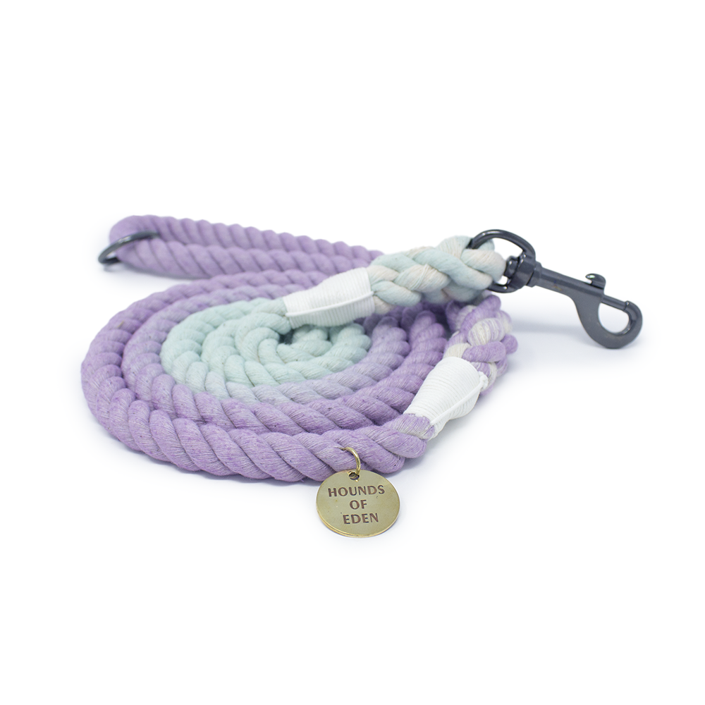 Don’t Go Barking My Heart - Pink and Teal Rope Lead