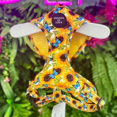 Sunflower Flutter - Yellow and Blue Butterfly Dog Collar