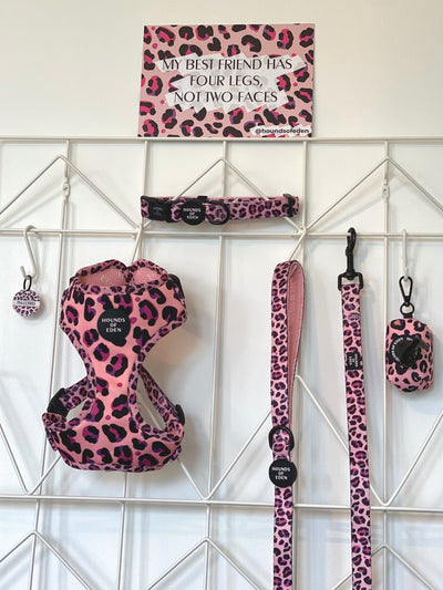 'Blushing Leopard' - Pink Dog Collar