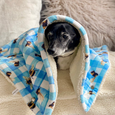 OUTLET - Bee You-tiful Dog Snuggle Blanket