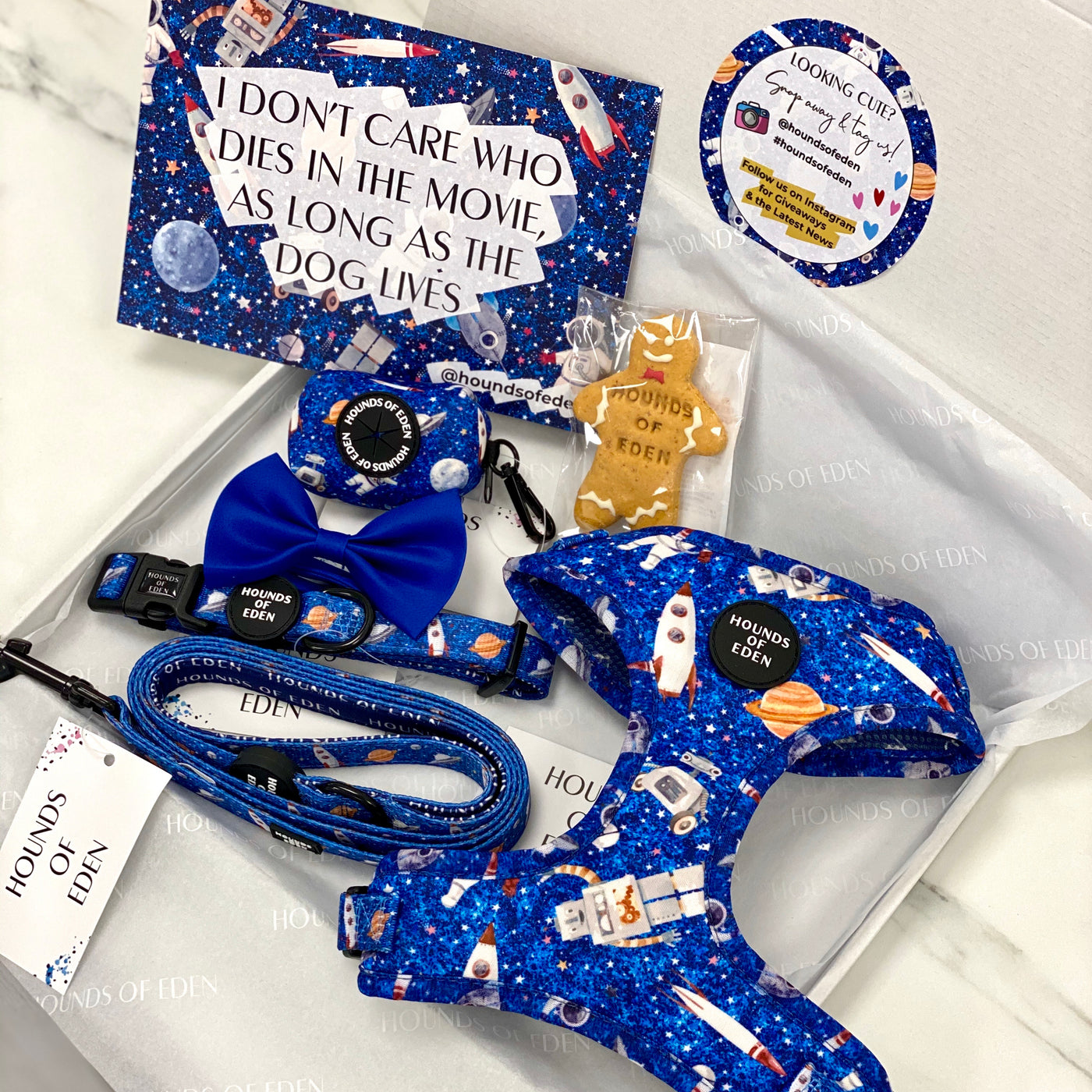 'Space Out' - Blue Starlight Space Pattern Poop/Treat Bag Holder