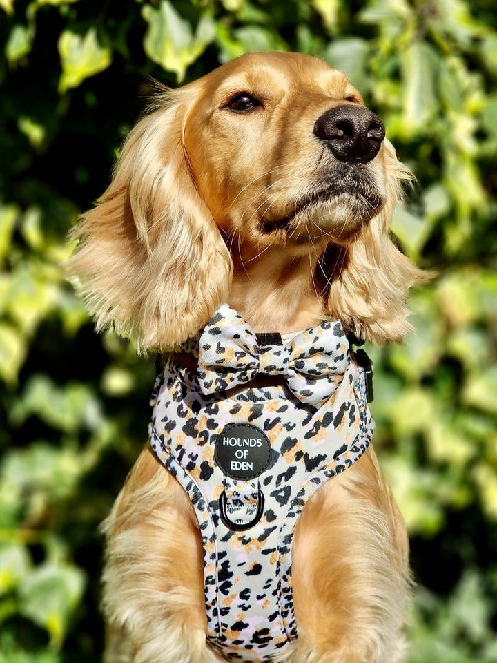 Sage Leopard Design Dog Lead