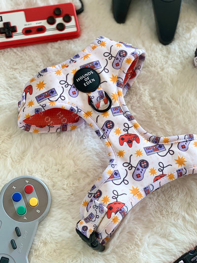 Nintendawg Design Dog Lead