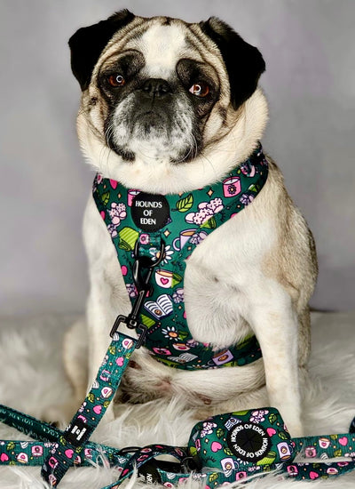 Self Care Design Dog Lead