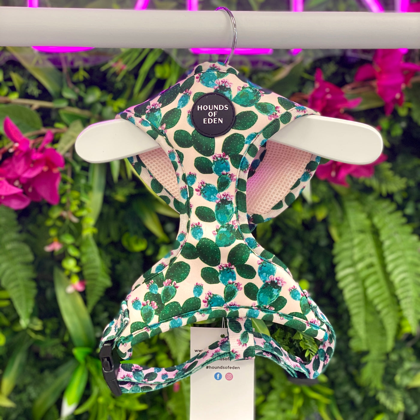 Looking Sharp - Green Cactus and Pink Dog Harness