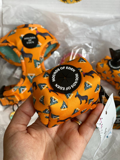 'Party Marty' - Zebra Dog Collar