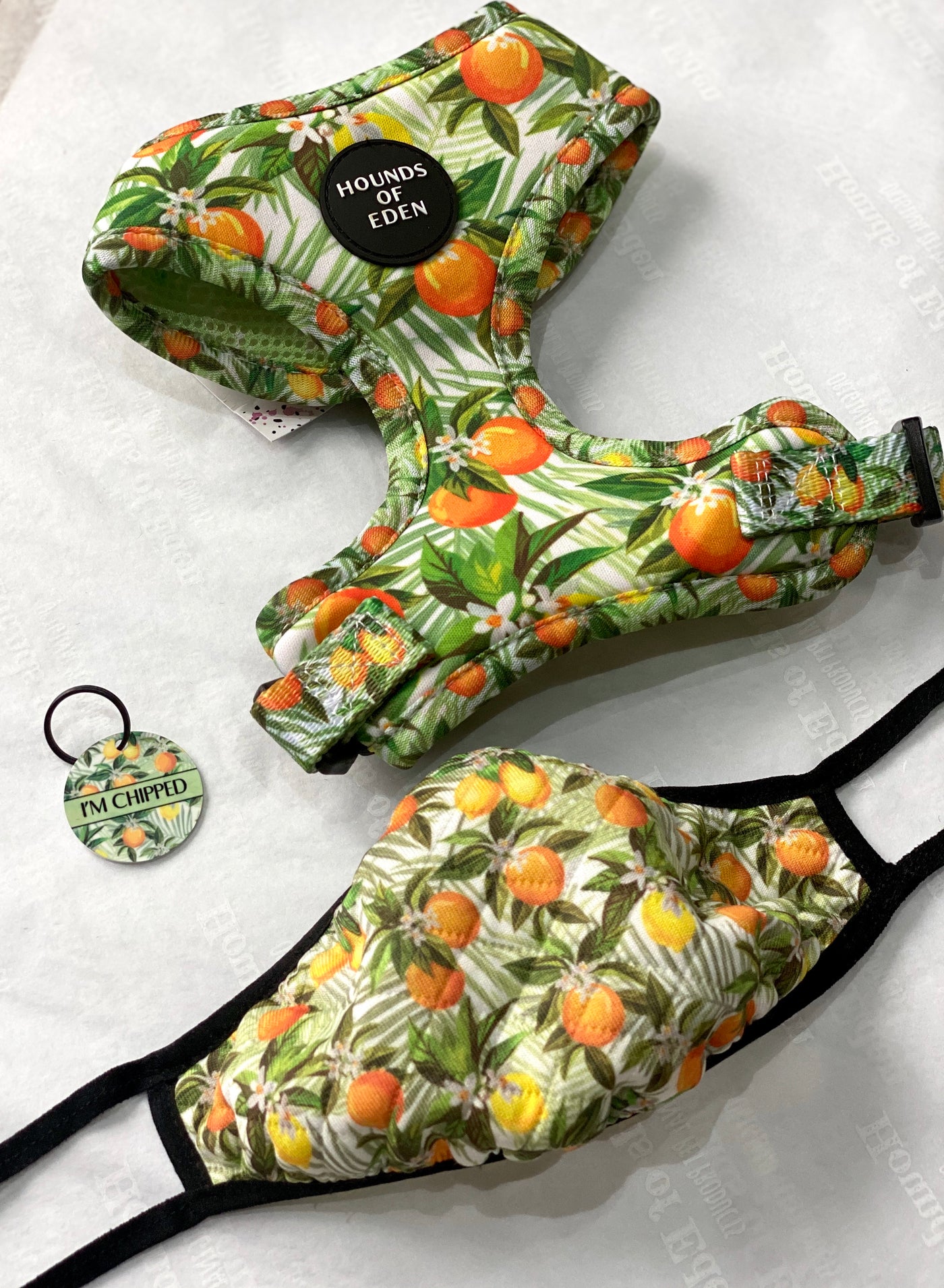 'Squeeze Me' - Citrus Dog Collar