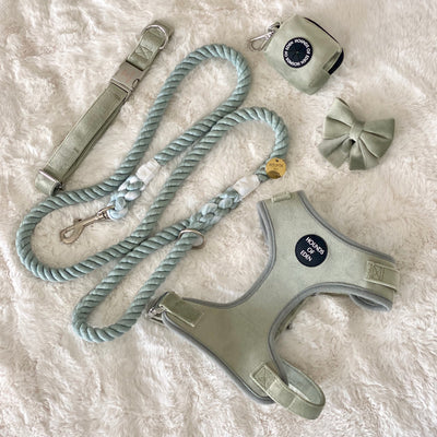 Sage Mist Cotton Rope Lead - Silver Hardware