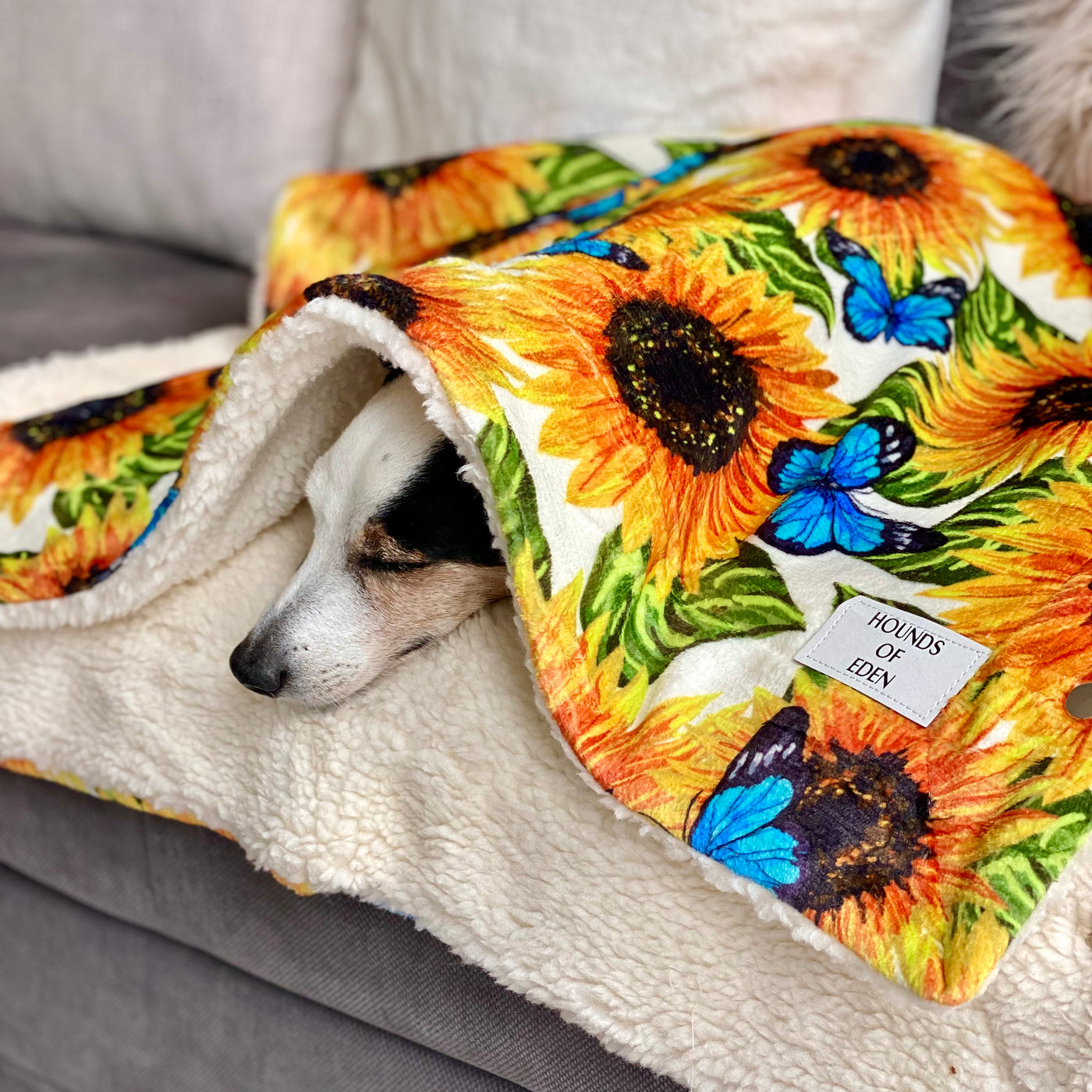 OUTLET - Sunflower Flutter Dog Snuggle Blanket