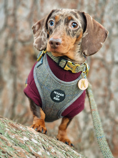 Max Harris Tweed Collar