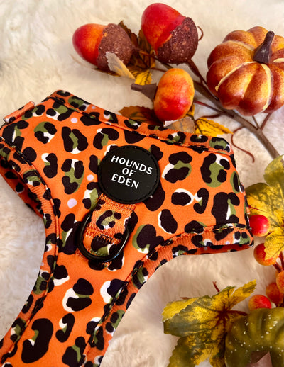 Burnt Orange Leopard Design Dog Collar