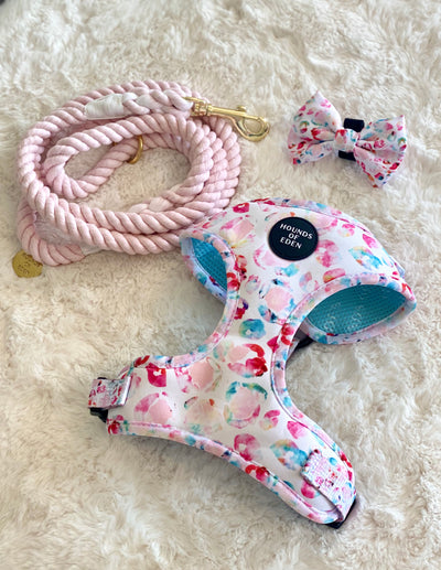 Jewel Leopard -  Leopard Dog Harness