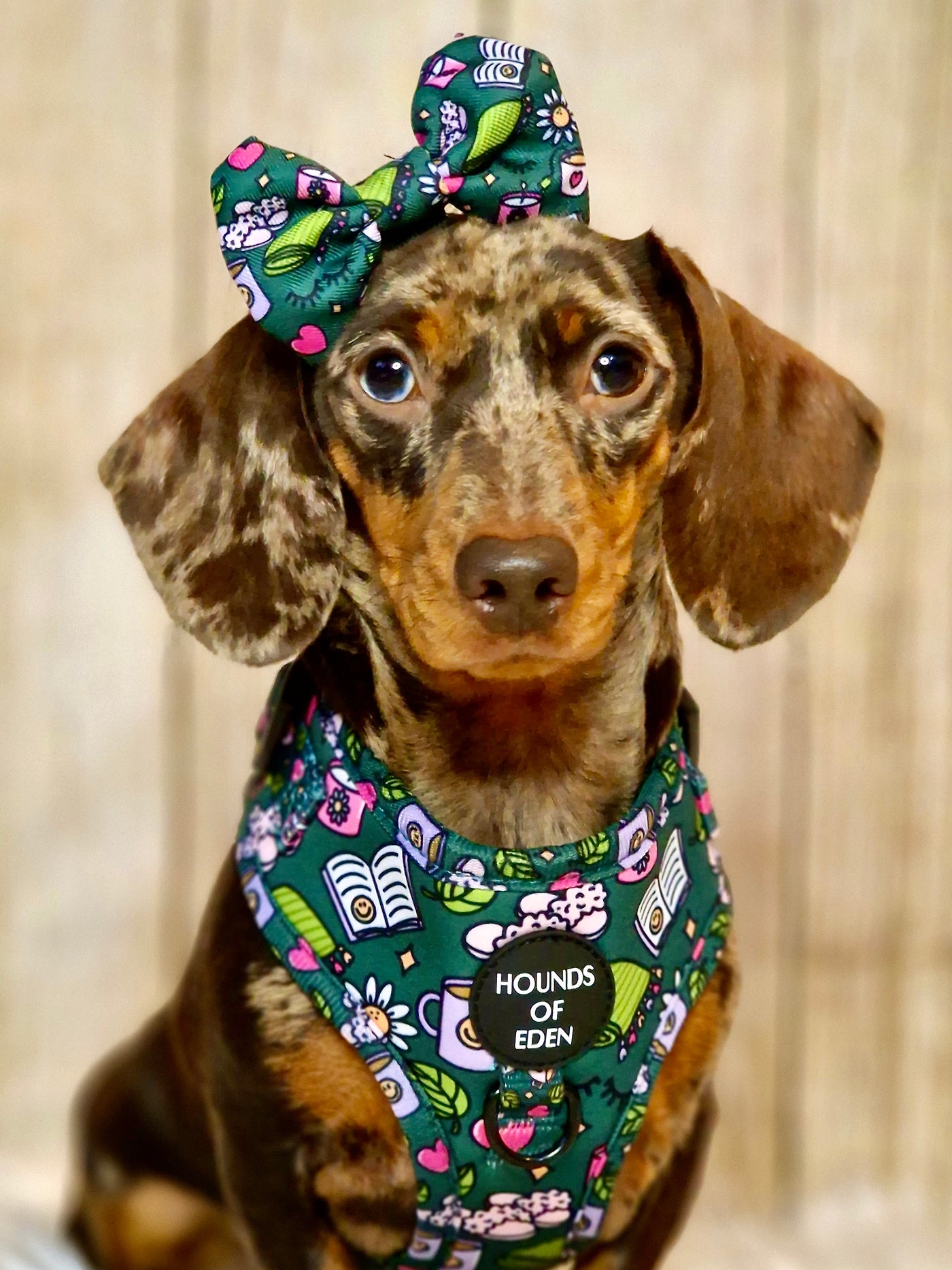 Self Care Design Dog Collar