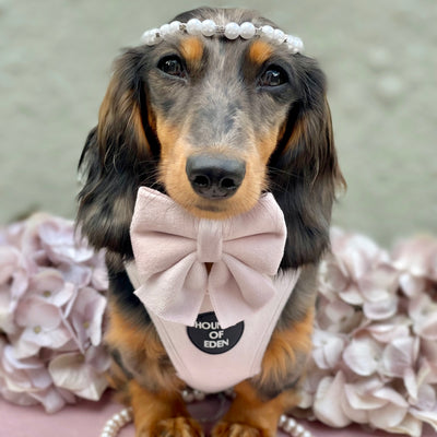Pure Peony - Pink Velvet Sailor Bow Tie