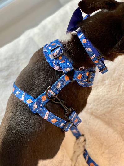'Space Out' - Starlight Blue Space Pattern Dog Harness
