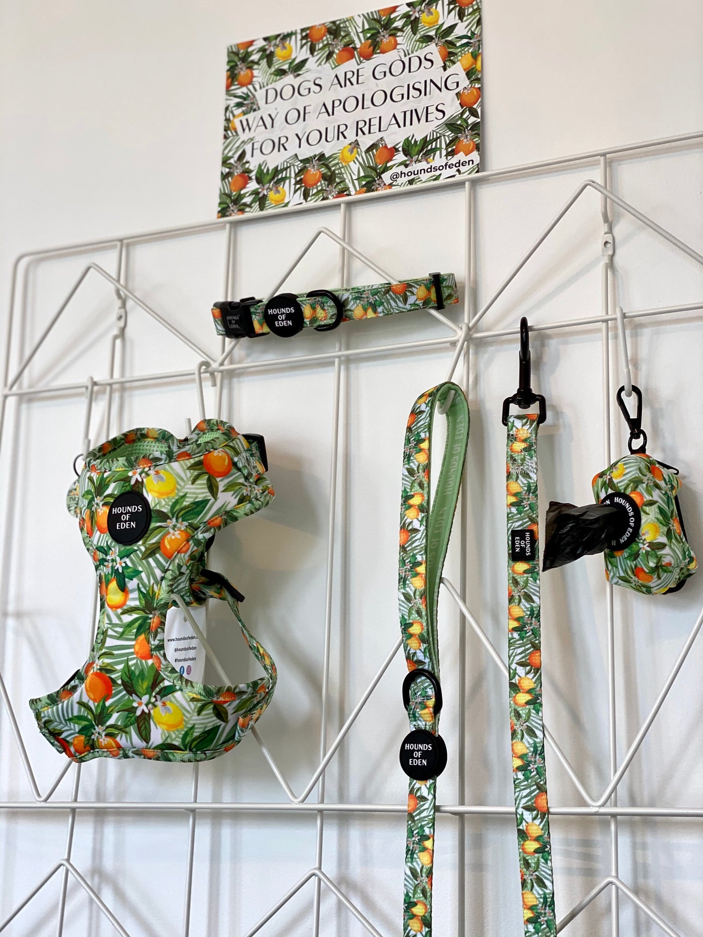 'Squeeze Me' - Citrus Dog Collar