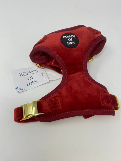Outlet - XS RUBY RED VELVET HARNESS - 0019
