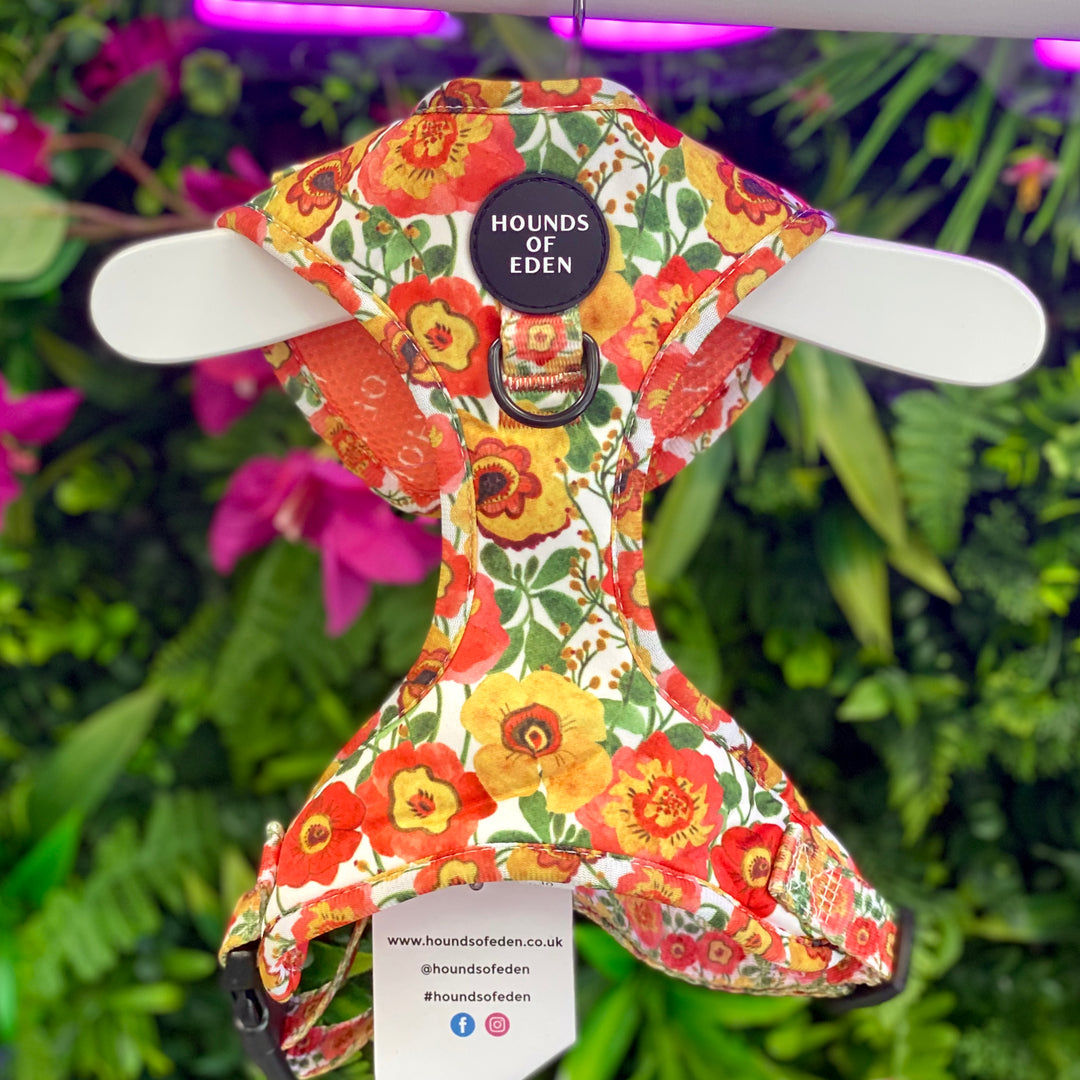 Autumn Blossom - Floral Poppy Dog Collar