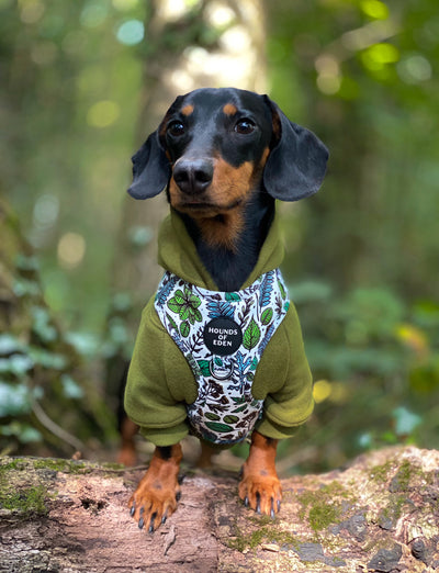 Ferntastic - Green Botanical Dog Harness
