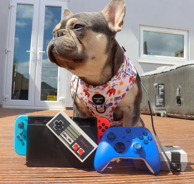 Nintendawg Design Dog Lead