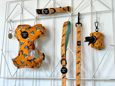 'Party Marty' - Zebra Dog Harness