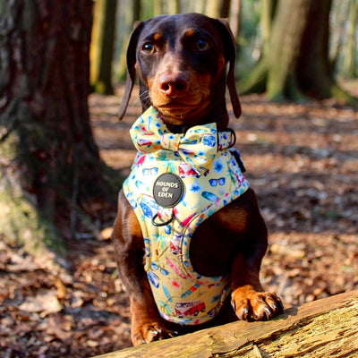 Surf's Up! - Dog Lead