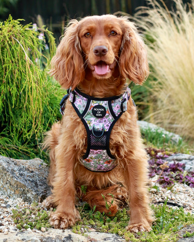 Supaw Strong™ Wild Blossom Utility Harness