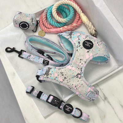'Pastel Pawcasso'- Dog Harness