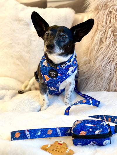 'Space Out' - Blue Starlight Space Pattern Dog Lead