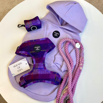 'Molly' Harris Tweed Dog Collar