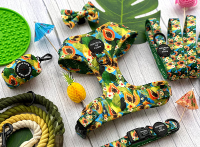Pupaya Design Dog Collar