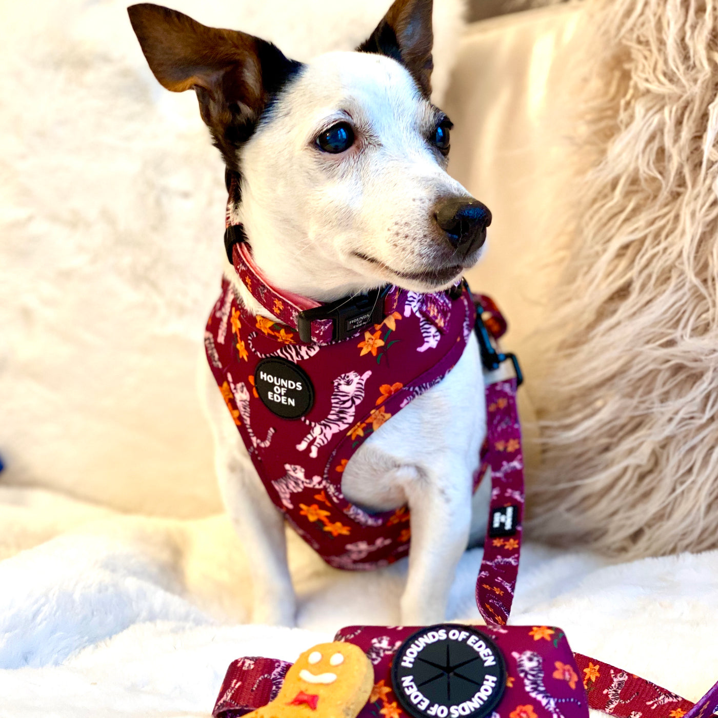 'Tiger Lily' - Magenta Pink Tiger Pattern Dog Harness