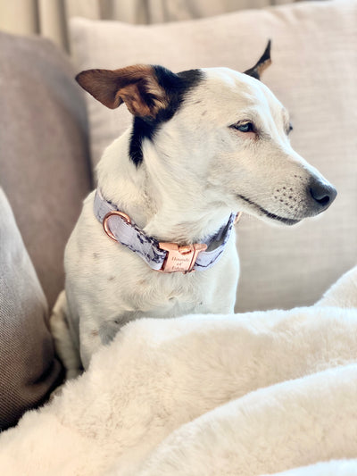 Arabella Marble Dog Collar - Rose Gold