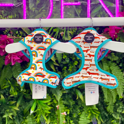 Sizzlin’ Sausages - Dachshund Reversible Dog Harness
