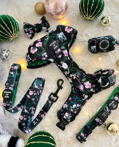 Midnight Madagascar Design Dog Lead