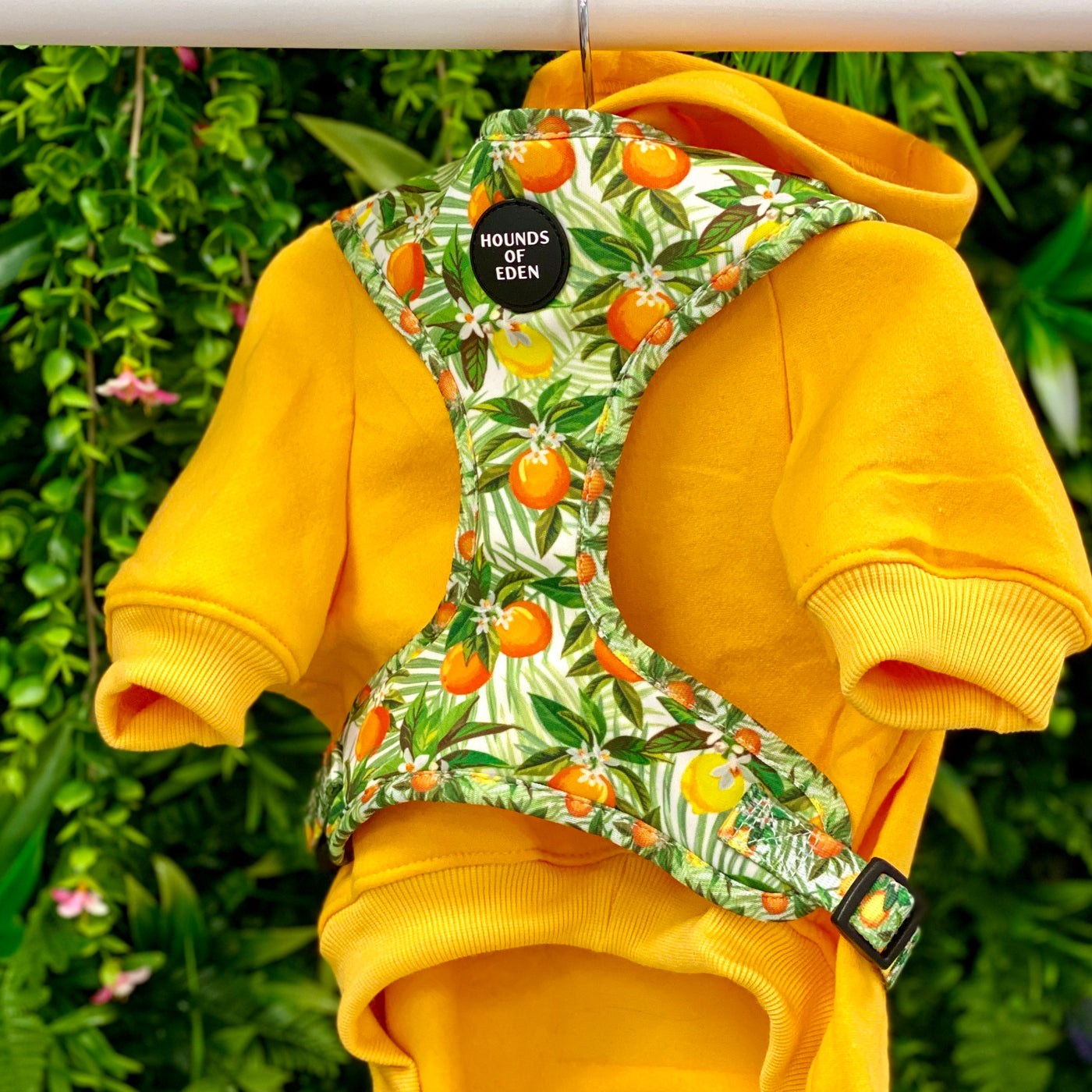 Dog Hoodie - Sunflower Yellow