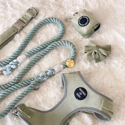Sage Mist Cotton Rope Lead - Silver Hardware