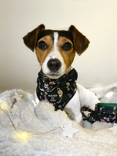 Midnight Madagascar Design Dog Lead