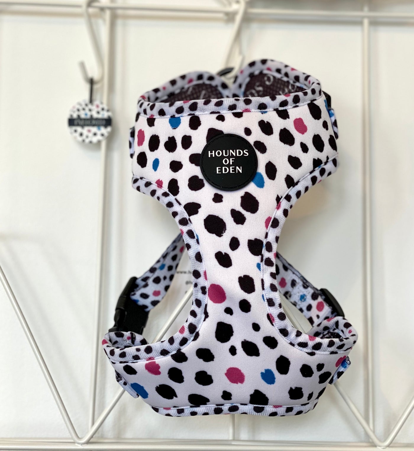 'Spot the Dog' - Black, Blue & Pink Spotted Dog Harness