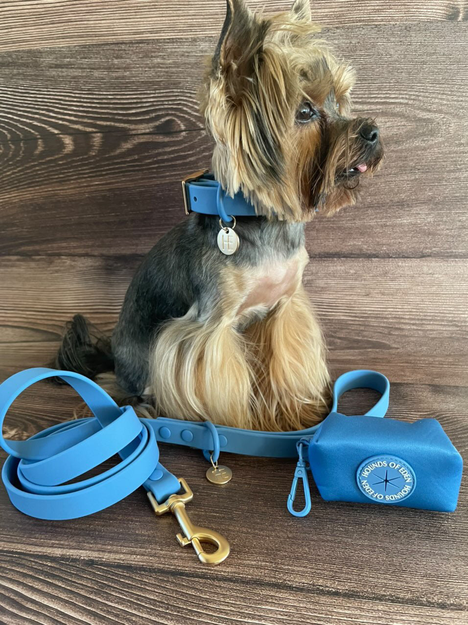 Lichen Blue 'All Weather' Dog Collar